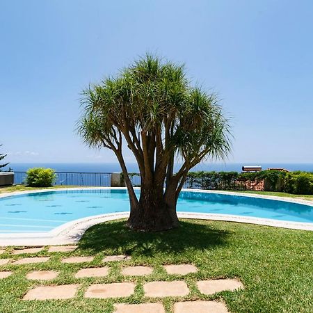 Vila Eucalipto By An Island Apart Funchal  Exterior foto